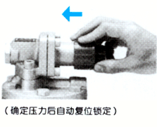 RP-6 蒸汽减压阀 日本VENN阀门 阀天减压阀 VENN代理 进口蒸汽减压阀  