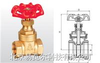 埃美柯109/Z15W-16T黄铜丝扣闸阀